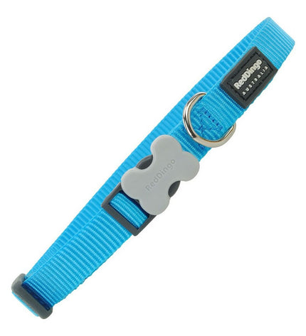 Red Dingo turquoise dog collar, 2.5 cm wide, adjustable 41-63 cm, with durable nylon and vibrant color for pets.