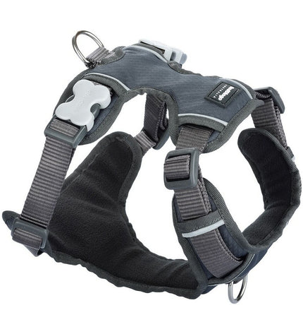 Red Dingo dog harness in grey with padded design, suitable for medium-sized dogs, shown on a dog model.