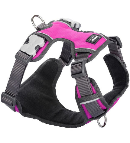 Red Dingo padded dog harness in fuchsia with reinforced stitching, designed for comfortable and secure fit.