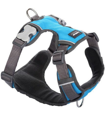 Red Dingo padded turquoise dog harness in XL size, featuring a sturdy design and adjustable straps for comfortable fit.