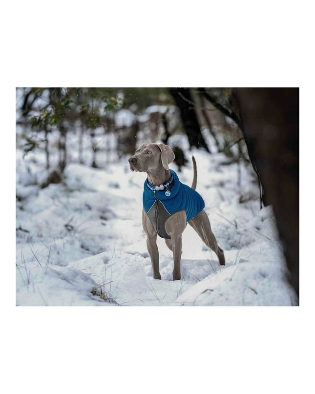 Red Dingo red puffer dog coat in turquoise, 25 cm, showing the insulated, lightweight dog jacket with hood and branding details.