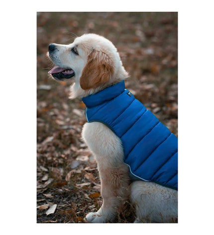 Red Dingo red puffer dog coat in turquoise, 25 cm, designed for small dogs, with a padded, warm exterior and adjustable fit.
