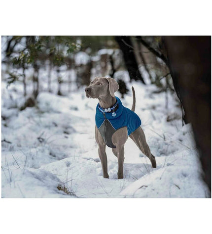 Red Dingo dog puffer jacket in turquoise, 50 cm, lightweight and warm for dogs, with a snug fit and stylish design.