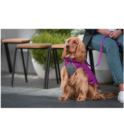 Red Dingo pink and purple puffer dog coat for small dogs, 25 cm, warm and stylish hondenjas with quilted design.