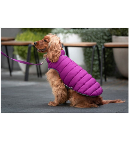 Red Dingo pink and purple dog puffer jacket, 30 cm, warm and stylish dog coat for small dogs.