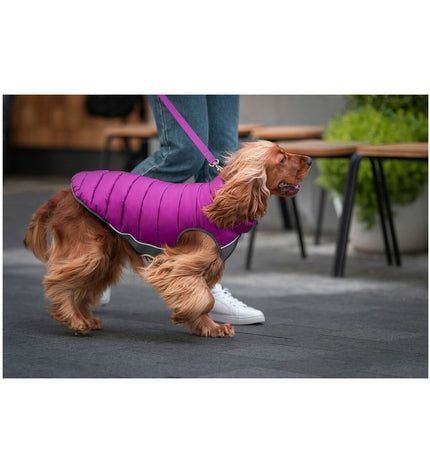 Red Dingo pink and purple puffer dog jacket for small dogs, 30 cm, warm and stylish dog outerwear.