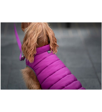 Red Dingo pink and purple puffer dog jacket for small dogs, 35 cm, with quilted design and adjustable straps.