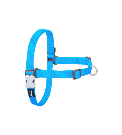 Red Dingo turquoise dog harness for small to medium dogs, adjustable 50-70 cm, made of durable material.