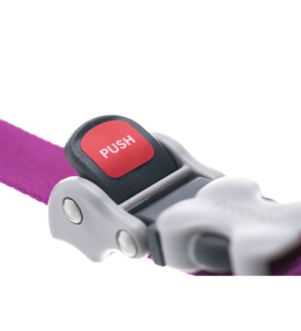 Red Dingo red dog leash made of durable material, featuring a metal clip and comfortable handle for easy walking.
