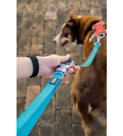 Red Dingo Fuchsia dog leash with sturdy nylon material and metal clip, designed for secure and comfortable walking.