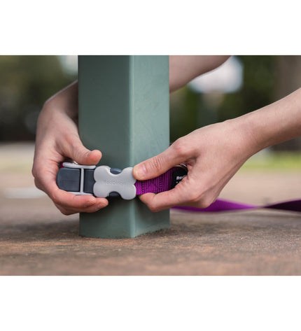 Red Dingo purple dog leash for pets, featuring a sturdy design and vibrant color, suitable for walking dogs.