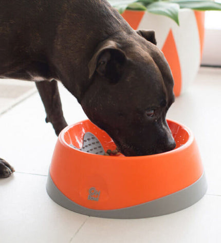 Orange Lickimat Oh Bowl dog feeder with textured surface for dogs, designed by Lickimat, made of durable material.