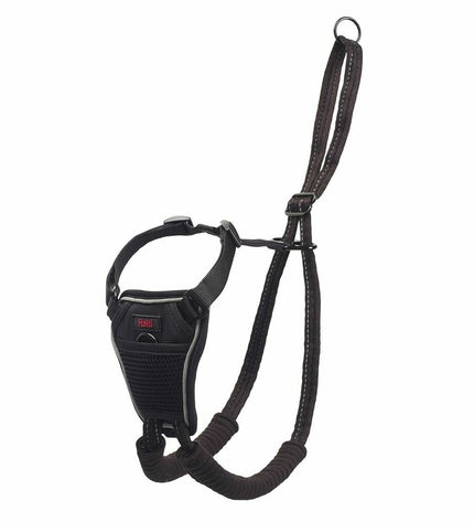 Black Company of Animals dog harness with adjustable straps, designed for comfortable and secure fit for pets.