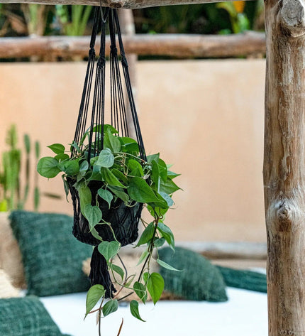 De macramé plantenhouder - zwart - S