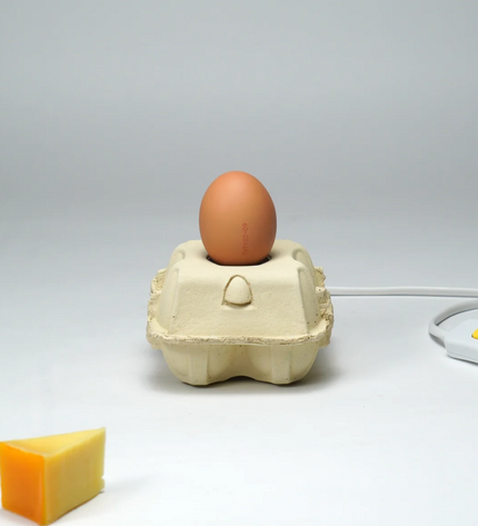 EggboxLAMP Corn