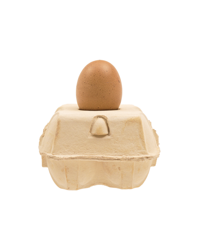 EggboxLAMP Corn