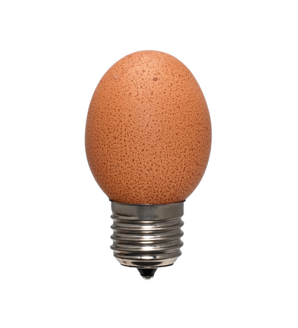 Egglamp Brown