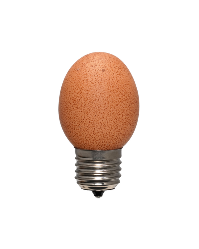 Egglamp Brown