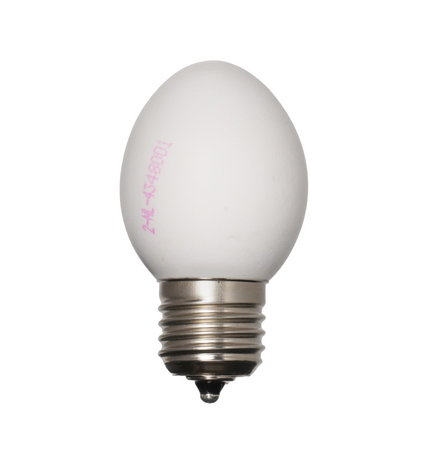 Egglamp White