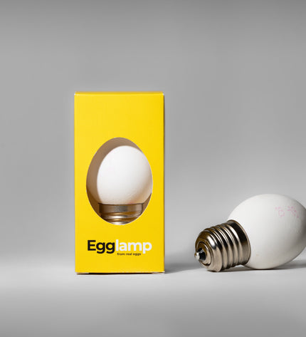 Egglamp White