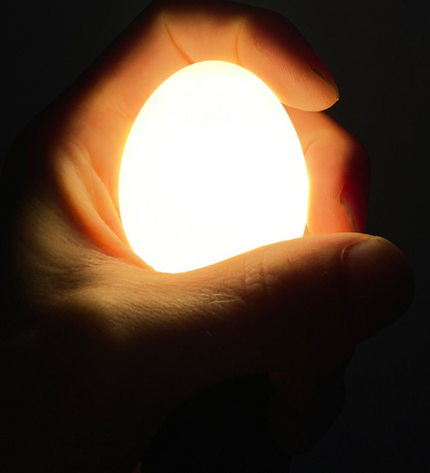 Egglamp White