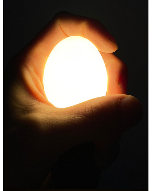 Egglamp White
