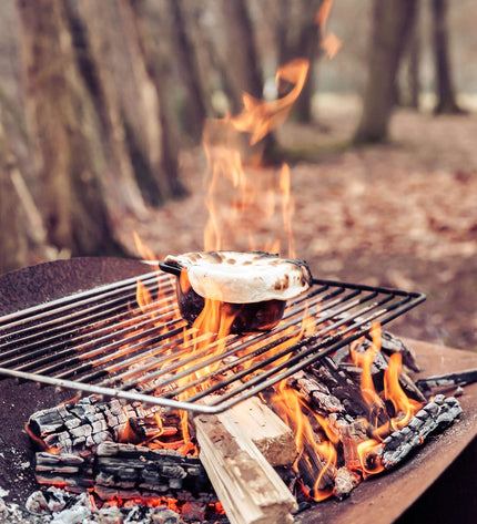 Ellipse Fire Bowl Grill Grate