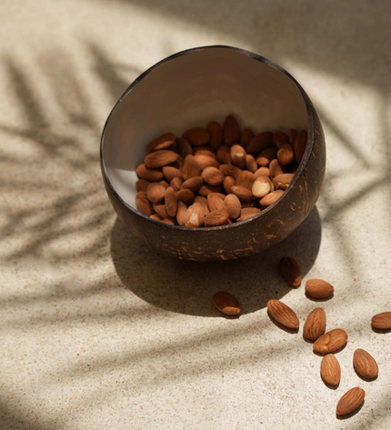 The Coco Food Bowl - Natural White