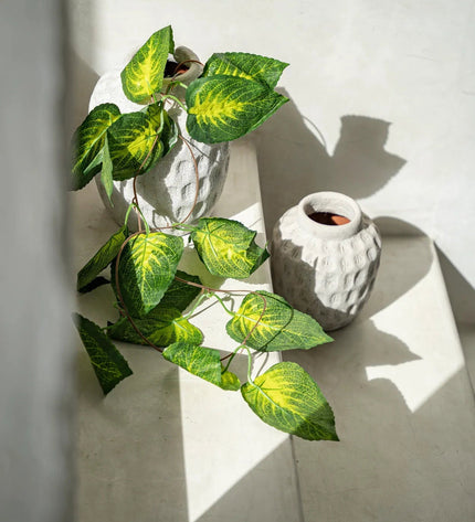 The Trendy Vase - Concrete - M