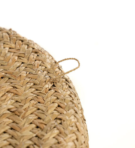 The Caribe Shell Plate - Natural White - M