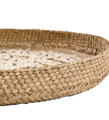 The Costa Shell Plate - Natural White - M