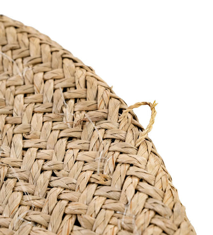 The Costa Shell Plate - Natural White - M