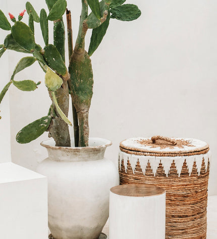 The Tribe Stool - Natural White