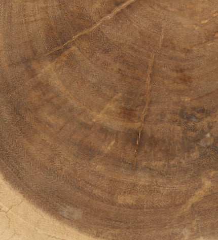 The Tribe Stool - Natural White
