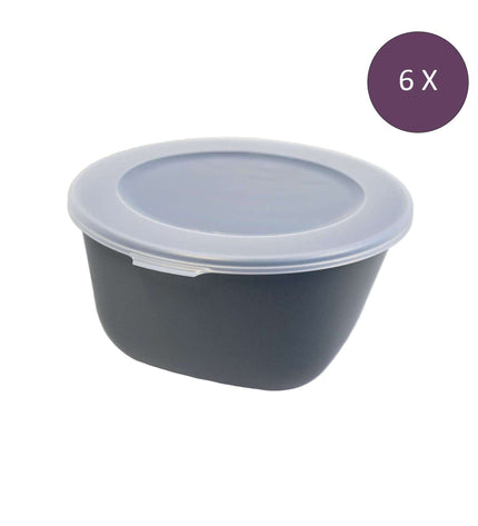 Move Connect Box Scale with Lid 1 liter Set of 6 Pieces