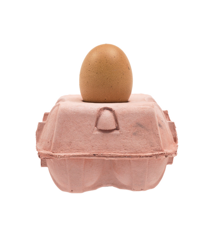 EggboxLAMP Rosé
