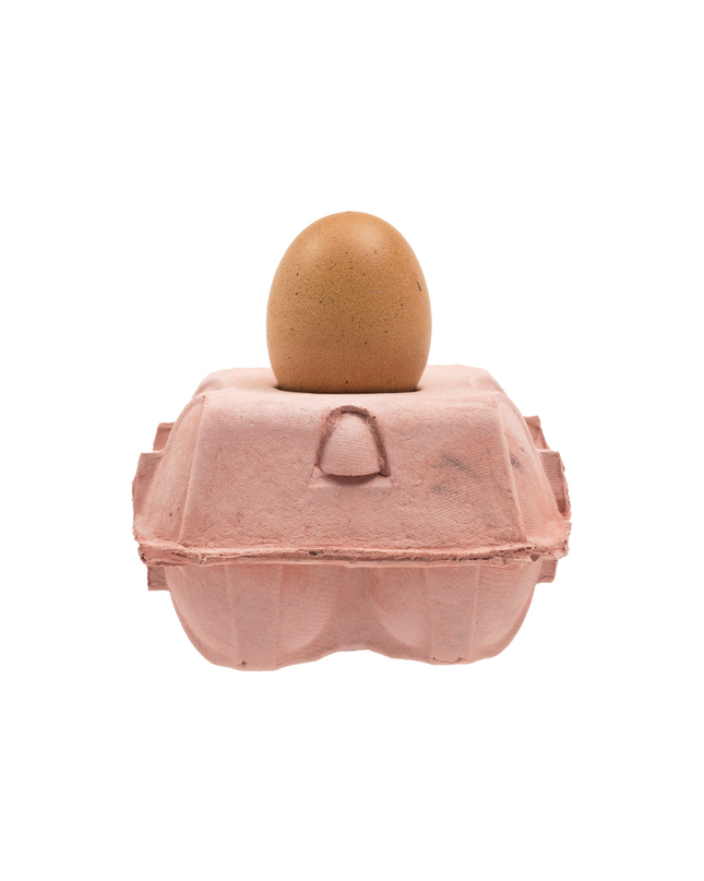 EggboxLAMP Rosé