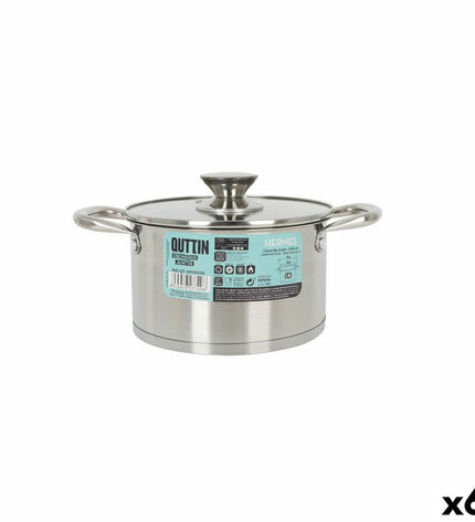 Set of six Quttin Hermes steel pots with glass lids, 2.8 L capacity, ideal for cooking and kitchen use.