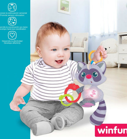 Set of six Winfun soft ratel toys featuring adorable raccoon designs for babies and young children playtime activities.