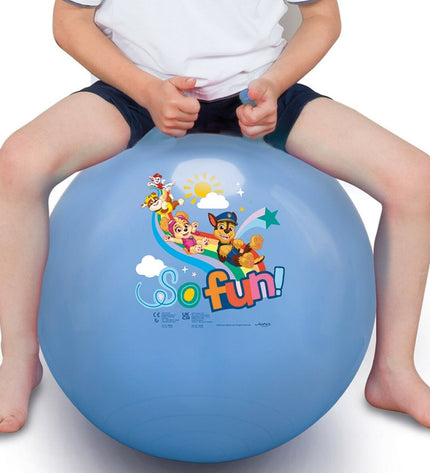 Set of 10 blue Paw Patrol-themed sports balls for outdoor and recreational play, featuring Paw Patrol branding and colorful designs.