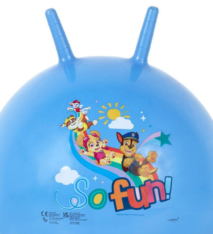 Set of ten blue Paw Patrol-themed sports balls for outdoor recreational activities, featuring Paw Patrol branding and vibrant colors.