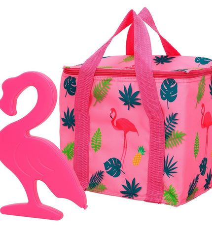 Set of 12 Aktive plastic cool boxes, 24x23.5x14 cm, ideal for camping and outdoor activities, displayed in a group.