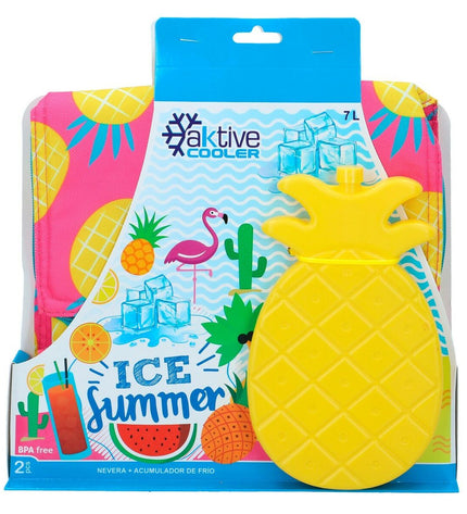 Set of 12 Aktive plastic cool boxes, 24x23.5x14 cm, ideal for camping and outdoor activities, sturdy and portable.