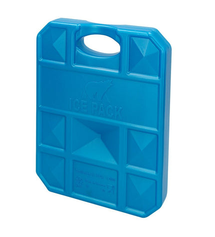 Set of 12 Aktive blue Kou-accumulator for camping and outdoor activities, 1 kg, 18.5 x 24 x 3.3 cm each.