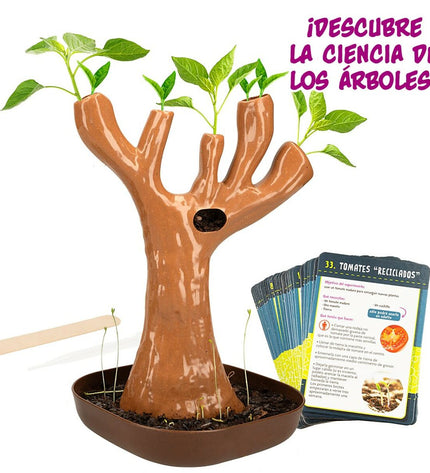 Set of six Lisciani Giochi Botánica science and educational play games for learning about plants and biology.