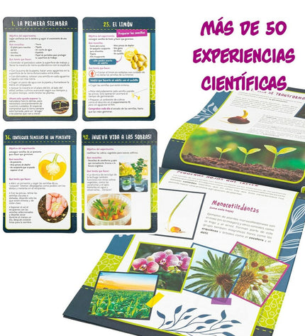 Set of six Lisciani Giochi botanics science games for kids, educational toys promoting learning and exploration in nature.