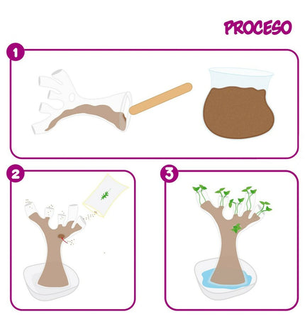 Set of six Lisciani Giochi Botánica science games for kids, educational toys promoting learning and exploration of plants.