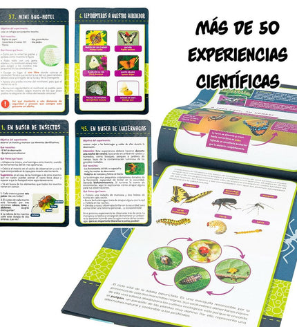 Set of six Lisciani Giochi Insectos science and education toys, featuring colorful insect figures for learning and play.