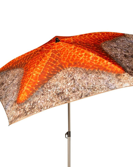 V5H5DB2662D240124E2C9E36A29A77F90C8R5424941P2