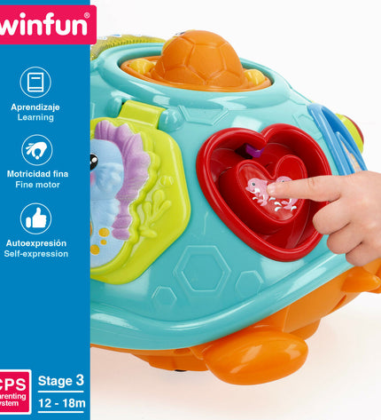 Two multicolored Winfun baby plush turtle toys, 23x12x23 cm, soft and safe for young children to play with.